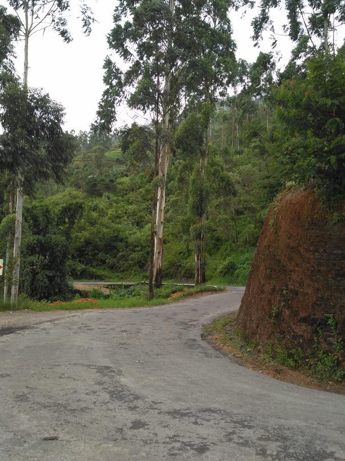 Maskeliya Dam House酒店 外观 照片
