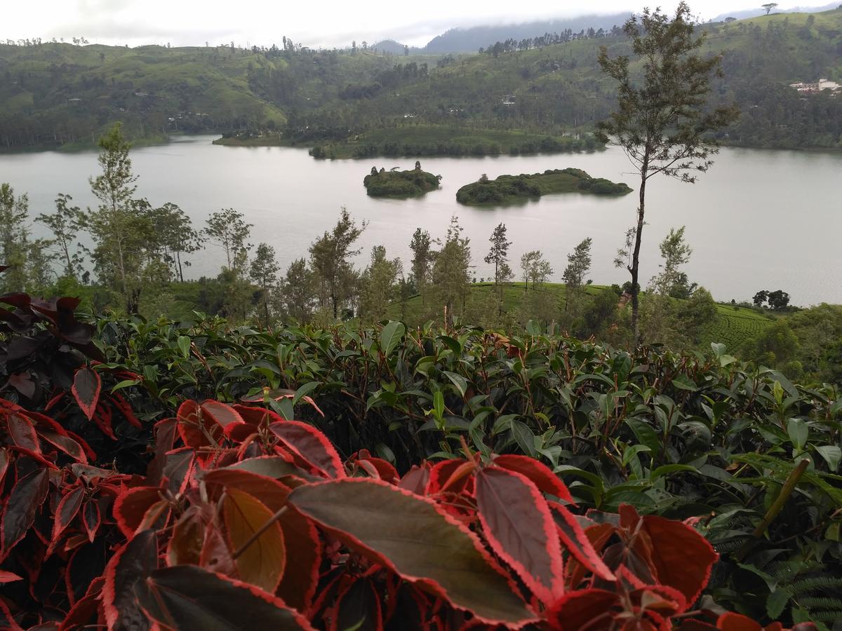 Maskeliya Dam House酒店 外观 照片